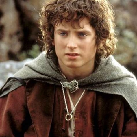 Frodo Baggins Frodo Baggins Lord Of The Rings Frodo