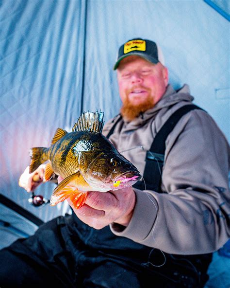 Tungsten Rigged Jigs New From Northland Winter Panfish Chasers
