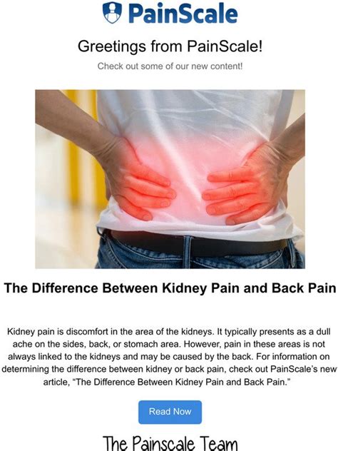 Painscale The Difference Between Kidney Pain And Back Pain Milled