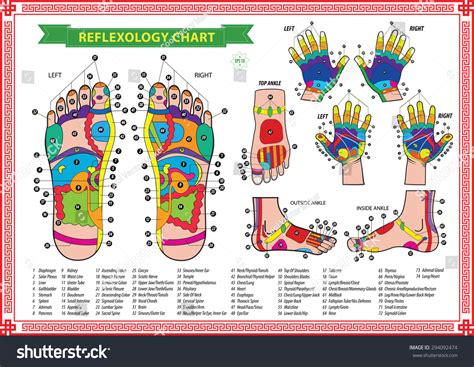 Gráfica de reflexología de pies y vector de stock libre de regalías