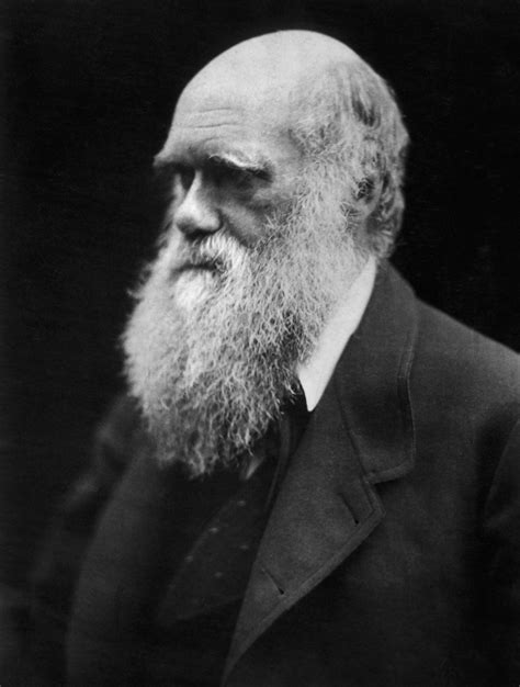 Charles Darwin El Genio De La Evolución