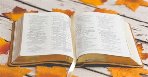 Open Bible On Fall Leaves — Photo — Lightstock