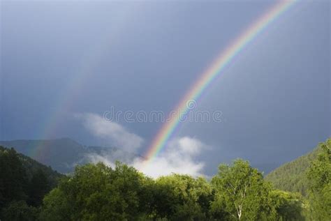 Rainbow Over Forest Stock Photo Image Of Rainbow Cloudy 18907430