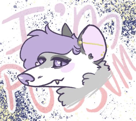 Awesome Possum Drawing By Me Possums