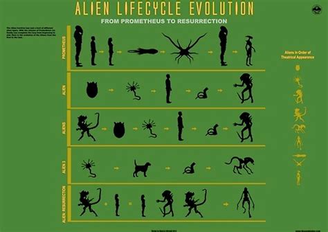 A Complete Guide To Alien Xenomorph Biology Inverse