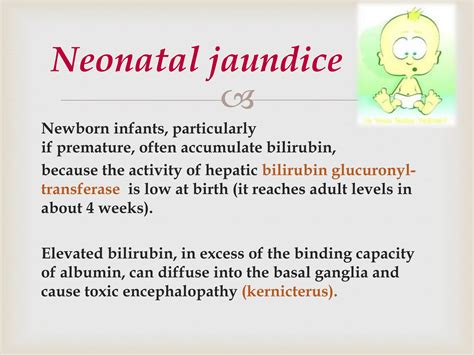 Jaundice Three Types Pre Hepatic Hepatic Post Hepatic PPT