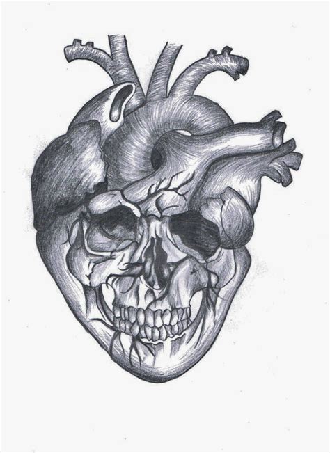 ✓ free for commercial use ✓ high quality images. skullheart | Heart tattoo, Human heart tattoo, Anatomical ...