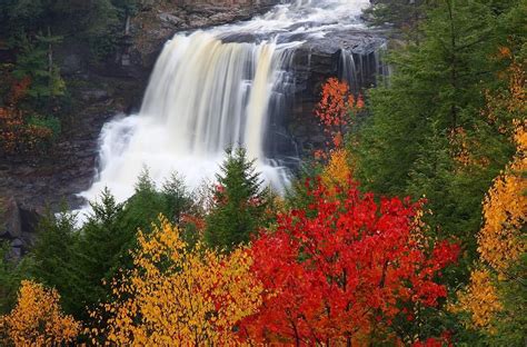 Blackwater Falls In Autumn By Jetson Nguyen Blackwater Falls State