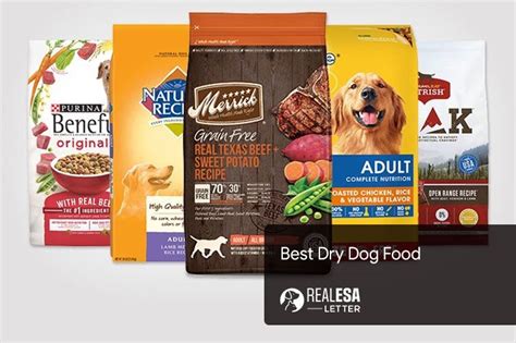 Best Dry Dog Food Top Brands In 2022