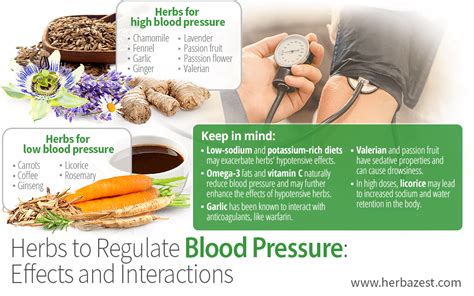 Herbs For Blood Pressure Effects And Interactions Herbazest