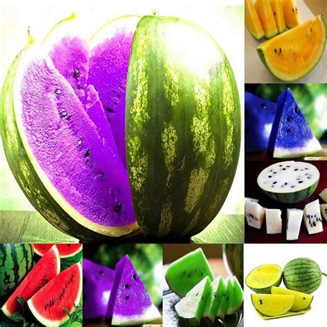 Specificationsa Chance To Taste Quite Different Colors Watermelon