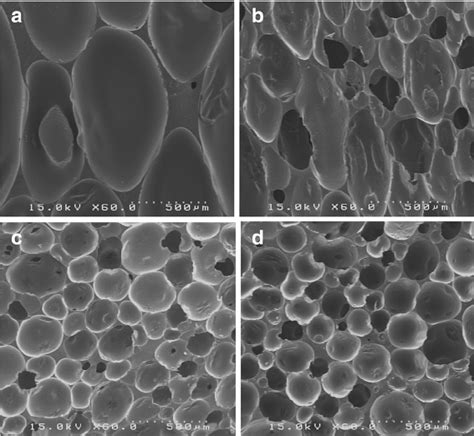 sem images neat polyurethane foam sample a polyurethane organoclay download scientific