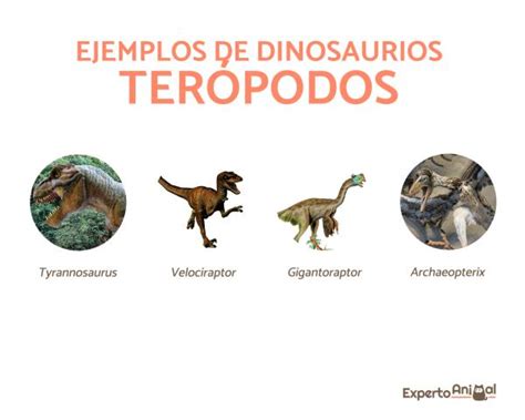 Tipos De Dinosaurios Que Existieron Características Nombres Y Fotos