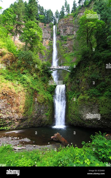 Multnomah Falls Columbia River Gorge Oregon Usa Stock Photo Alamy