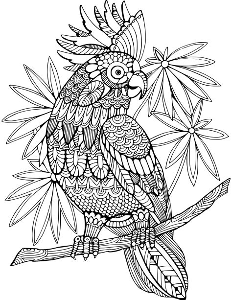 Coloring Pages Animals For Adults