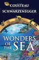 Wonders of the Sea (2017) - Rotten Tomatoes