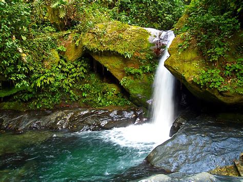 Rawacala Nature Reserve El Paraiso Cortes Honduras Flickr
