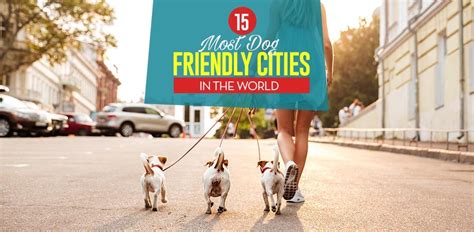 15 Most Dog Friendly Cities In The World