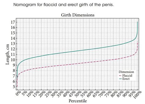 Scientists Measured 15000 Penises And Determined The Average Size