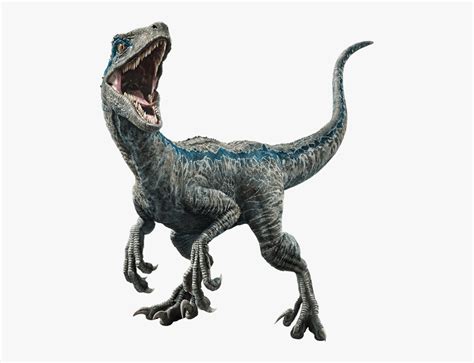 Clip Art Jurassic World Png Blue Velociraptor Free