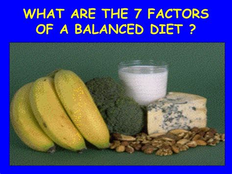 7 Factors Of A Balanced Diet Karen Guillory