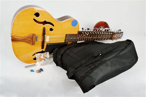 Professional Classical Plucked String Musical Instrument Mohanveena