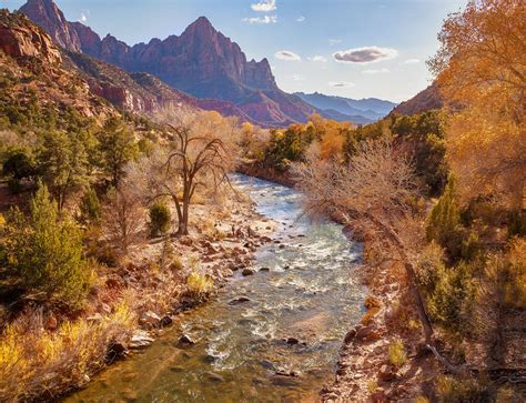 The Virgin River During Fall Zion National Park Utah