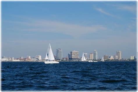 St petersburg skyline vectors (146). St Petersburg, FL Downtown Luxury Condominiums