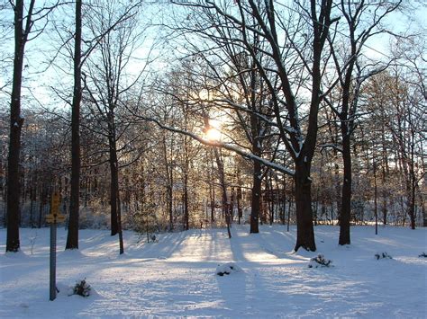 The Literate Quilter Michigan 101 Winter Wonderland