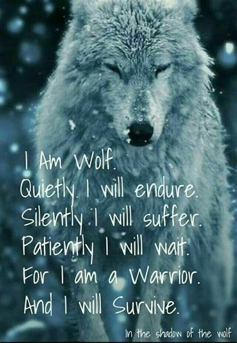 Sad Lone Wolf Quotes The Quotes