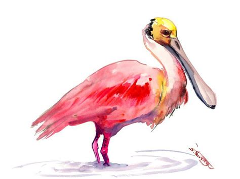 Roseate Spoonbill 2020 Watercolour By Suren Nersisyan Watercolor