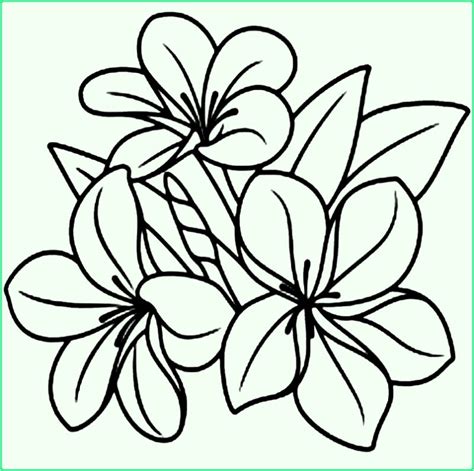 Bentuk Bunga Lima Kelopak Itam Putih Donna Forsyth