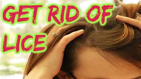 How To Get Rid Of Head Lice Permanently Head Lice Treatment Home