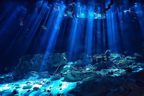 Premium Photo Underwater Landscape Mexico Cenotes Diving Rays Of