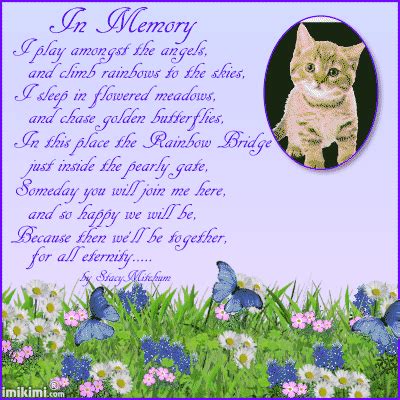 I watched my brother slip from it, so i call it the bridge of loss.read the. In Memory of a pet | Pet grief, Pet poems, Pet remembrance