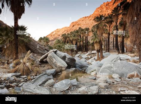 Indian Canyon, Palm Springs, CA Stock Photo - Alamy