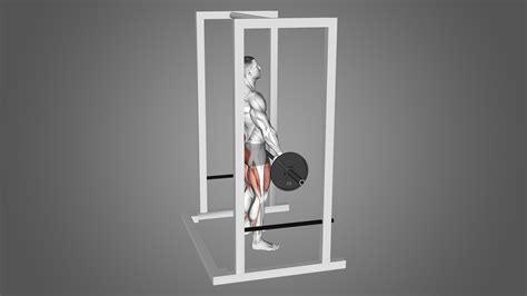 The Rack Pull Benefits Muscles Used And More Inspire Us