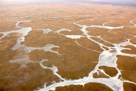 Northern Botswana The Place Where Modern Humans Originated Nature World News