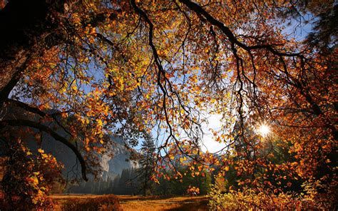Autumn Sunset Landscape Wallpaper 2560x1600 29033
