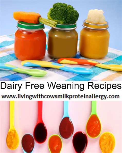 Signs and symptoms of milk allergy range from mild to severe and can include wheezing, vomiting, hives and digestive problems. Dairy Free Weaning Recipes - Living With CMPA, cow's milk ...