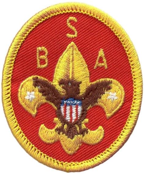 Boy Scouts Of America Fleur De Lis Emblem Bsa Cac Scout Shop