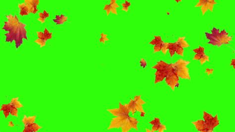 Animated Autumn Leaf Green Natural Treesleaves Hd Wallpapers
