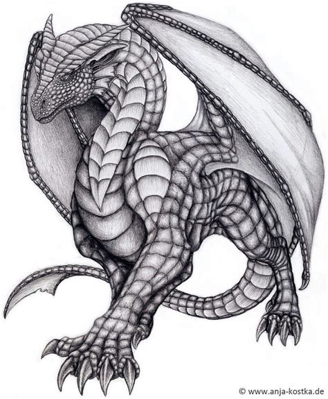 Pin By April Dikty Ordoyne On Dragons Dragon Drawing Dragon