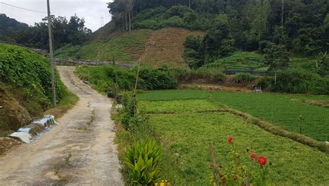 For more information about a game ban in a specific game, please contact the more recently, game bans were added to users' steam profile pages. Beautiful Farm Land 12 acres- Cameron Highlands - Land for ...