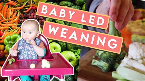 With blw, you skip purees and rice cereal completely and go straight to giving your baby chunky pieces of finger foods. Baby Led weaning 7 months old + Food ideas, Grocery Haul ...