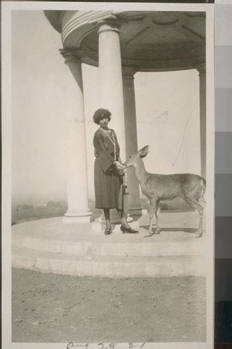 Woman Feeding Deer Aug August Calisphere