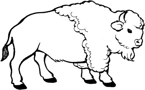 Buffalo bills coloring pages printable. Free Buffalo and Bison Coloring Pages