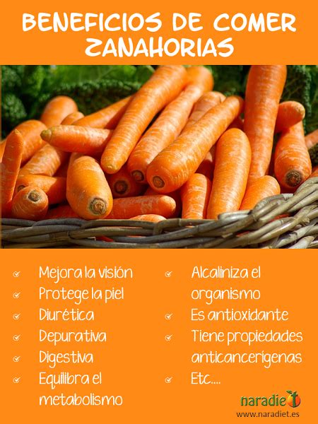 Pon Zanahorias En Tu Vida Y Vivir S Mucho Mejor Beneficios De