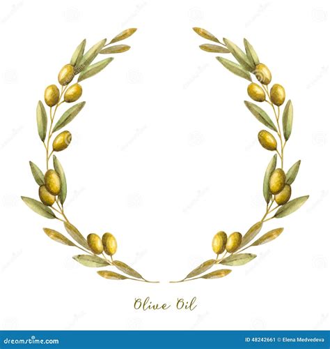 Watercolor Olive Branch Wreath Stock Vector Image 48242661