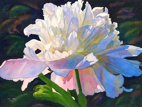 White Pink Peony Watercolor Painting Print By Cathy Hillegas Etsy